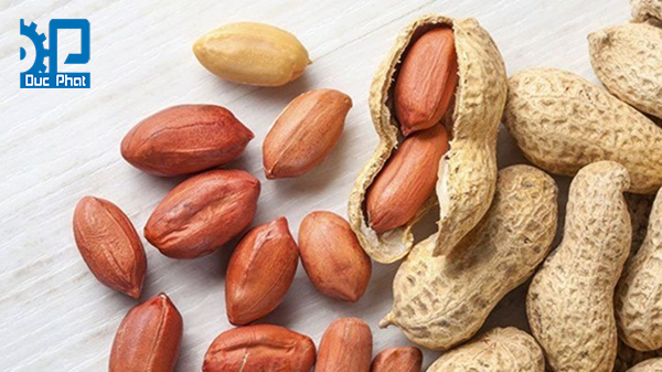 Lựa chọn, sơ chế đậu phộng