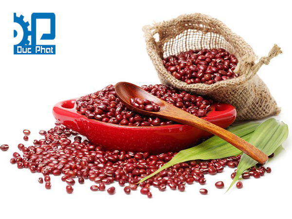Hạt đậu đỏ