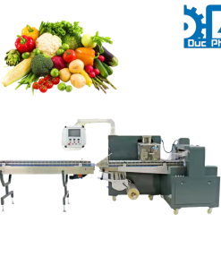 Máy đóng gói rau củ quả nằm ngang túi bụng