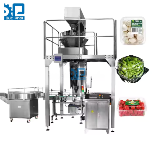 Máy đóng hộp củ quả tự động
