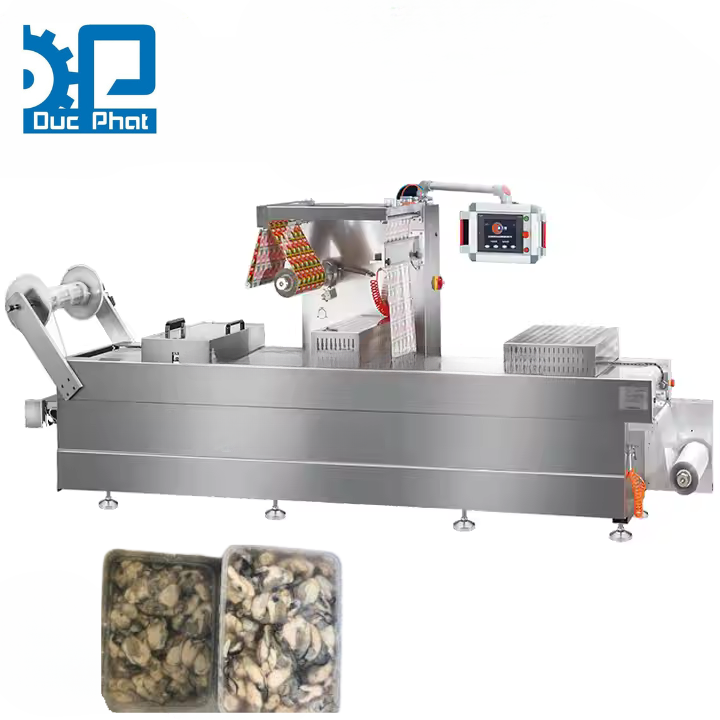 Máy đóng khay hàu tự động
