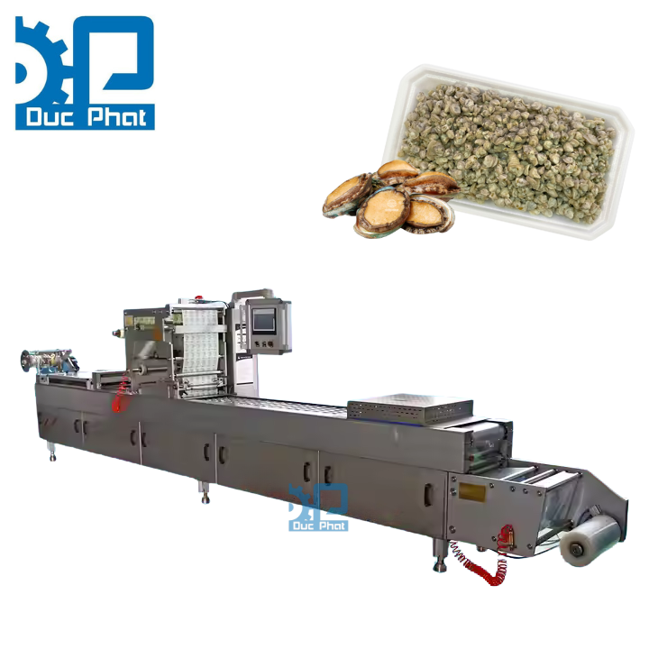 Máy đóng khay hút chân không tự động