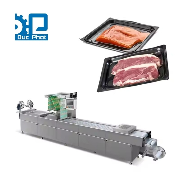 Máy đóng khay thịt hút chân không tự động