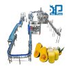 Dây chuyền chiết rót nước bí đỏ đóng chai