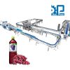 Dây chuyền chiết rót nước ép nho đóng chai