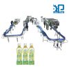 Dây chuyền chiết rót nước trà hoa cúc