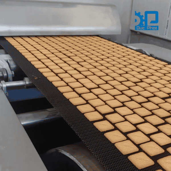 Kiểm tra bánh quy