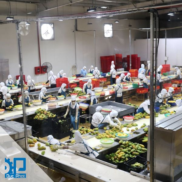 Đào tạo nhân lực thích nghi với công nghệ Đào tạo nhân lực thích nghi với công nghệ