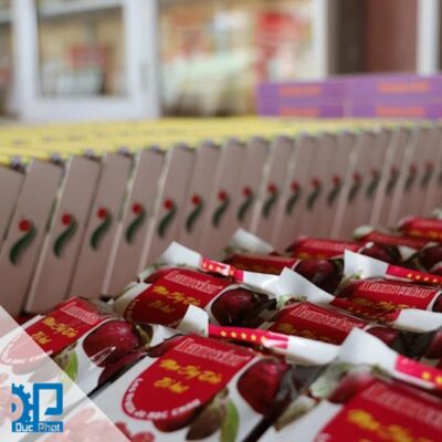 Lợi ích khi hợp tác xã công nghiệp hóa sản xuất, đóng gói đặc sản vùng miền