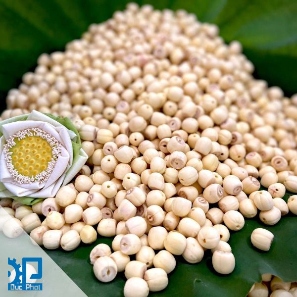 Đóng gói sen tươi cần lưu ý về hiện tượng oxy hóa của hạt Đóng gói sen tươi cần lưu ý về hiện tượng oxy hóa của hạt