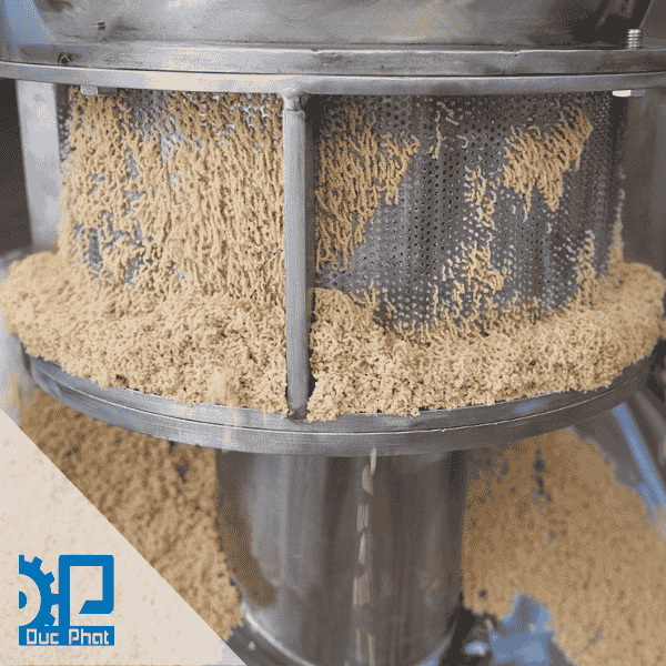 Sàng lọc và phân loại mỳ chính