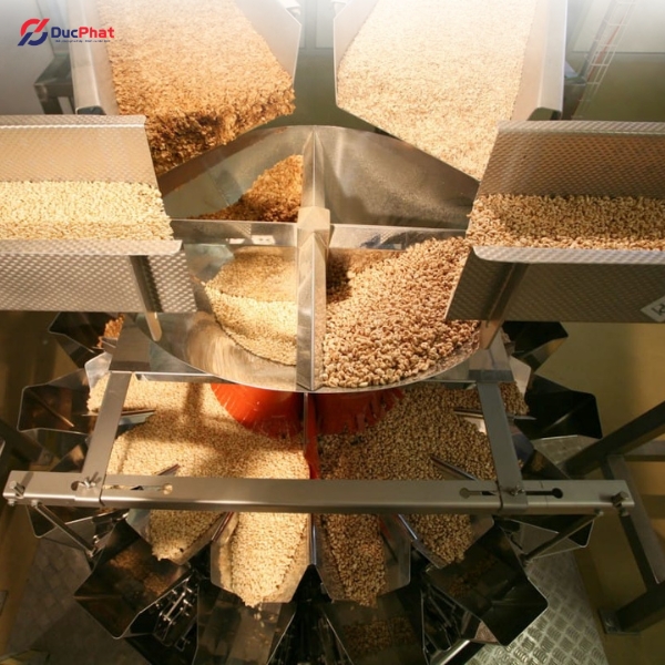 Đầu cân điện tử nhiều đầu có bộ chia ngăn Đầu cân điện tử nhiều đầu có bộ chia ngăn