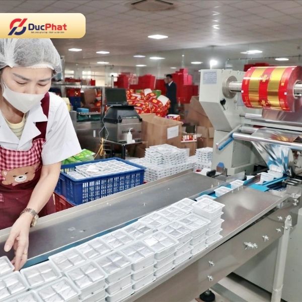 Máy đóng gói bánh đậu xanh hỗ trợ hoàn thiện bao bì sau khi sản phẩm được cấp liệu vào dây chuyền Máy đóng gói bánh đậu xanh hỗ trợ hoàn thiện bao bì sau khi sản phẩm được cấp liệu vào dây chuyền