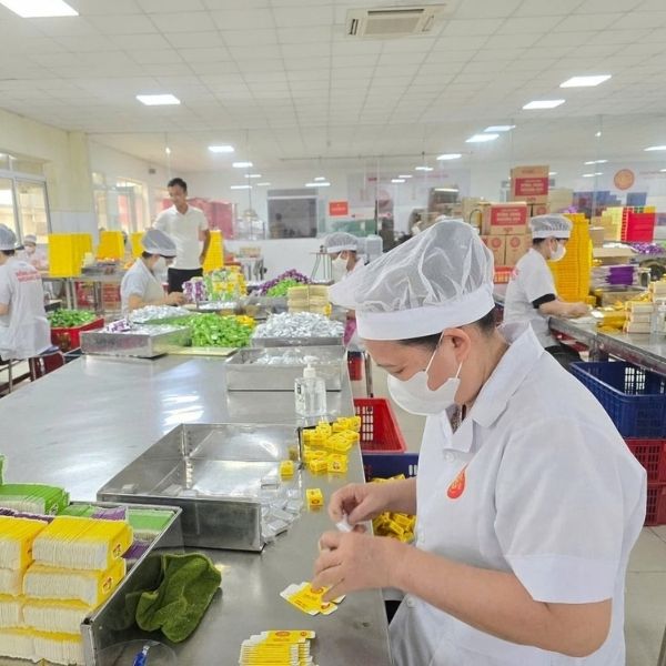 Thao tác bọc và xếp bánh thủ công giúp bảo vệ hình dạng bánh đậu xanh trước khi hoàn thiện bao bì Thao tác bọc và xếp bánh thủ công giúp bảo vệ hình dạng bánh đậu xanh trước khi hoàn thiện bao bì