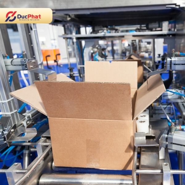 Dây chuyền đóng gói thùng carton tự động - giải pháp chuẩn hóa công đoạn đóng gói cho doanh nghiệp Dây chuyền đóng gói thùng carton tự động - giải pháp chuẩn hóa công đoạn đóng gói cho doanh nghiệp
