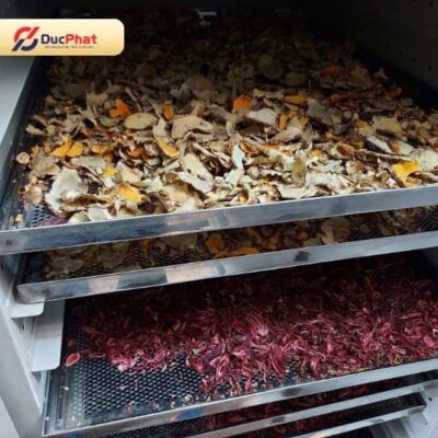 Dược liệu được đưa vào buồng sấy theo từng mẻ 