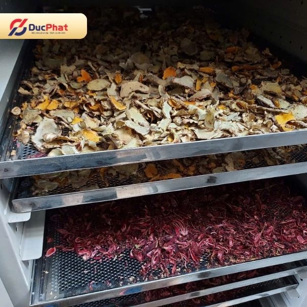 Dược liệu được đưa vào buồng sấy theo từng mẻ Dược liệu được đưa vào buồng sấy theo từng mẻ