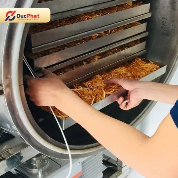 Sấy dược liệu bằng máy giúp duy trì dược tính và chất lượng nguyên liệu Sấy dược liệu bằng máy giúp duy trì dược tính và chất lượng nguyên liệu