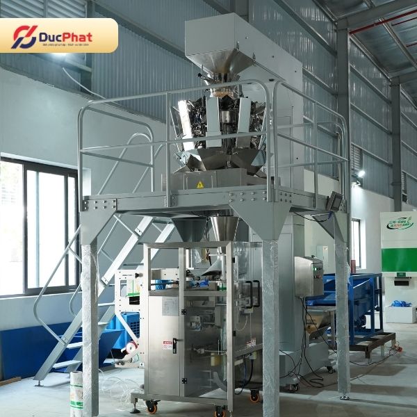 Hệ thống máy đóng gói hạt giống máng cổ áo được Đức Phát lắp đặt tại nhà máy nông sản Hệ thống máy đóng gói hạt giống máng cổ áo được Đức Phát lắp đặt tại nhà máy nông sản
